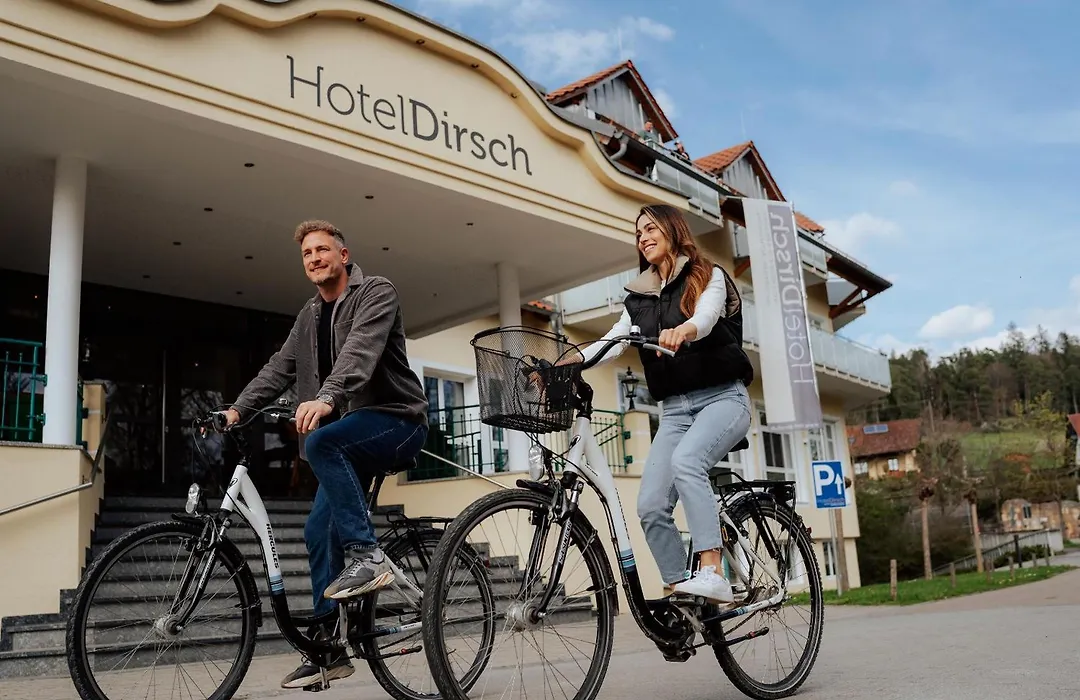 Hotel Dirsch Wellness&Spa Resort-1
