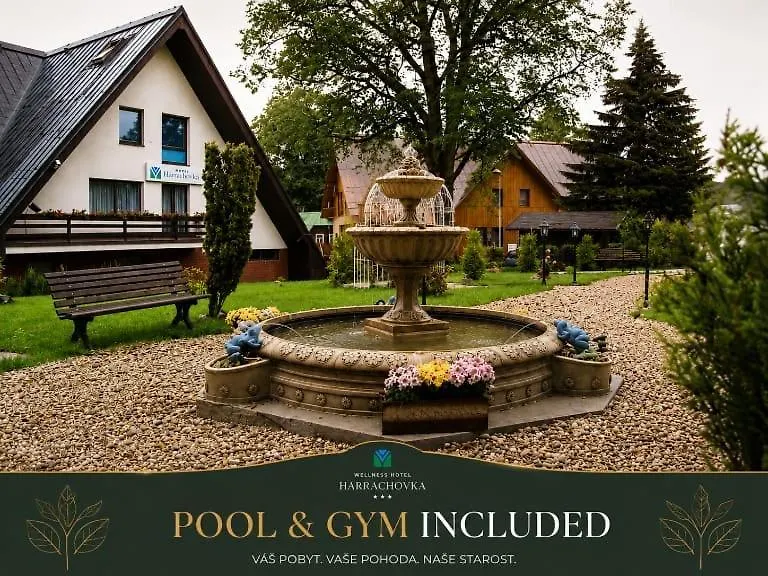 Wellness hotel Harrachovka-1