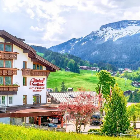 Hotel Almhof-2