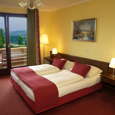 Hotel Fasching-2
