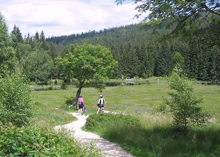 BIO Appartement Resort Bodenmais