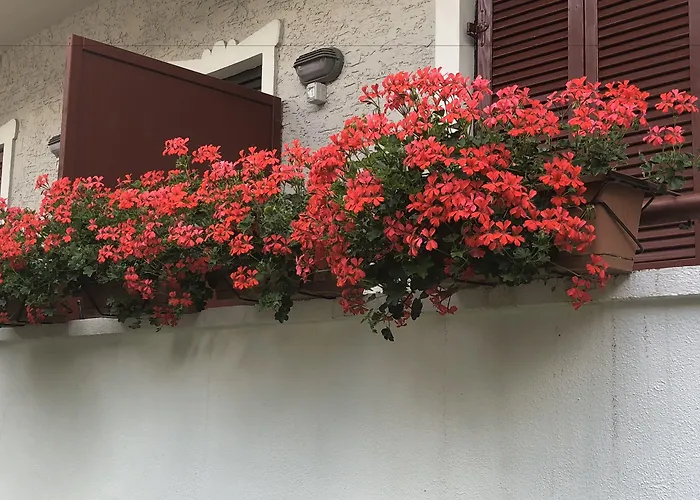 Garni Villa Betty Meran